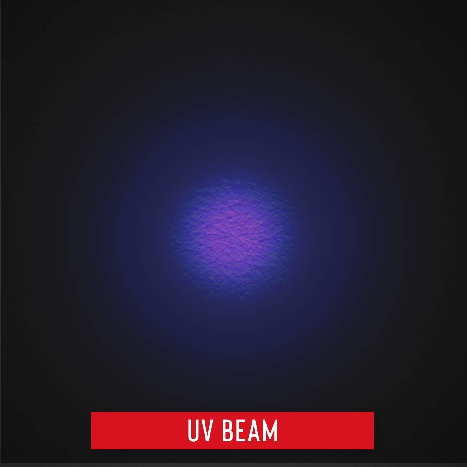 Coast 21134 PX100 400nm UV Black Light, Batteries Included